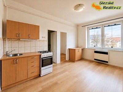 Pronájem bytu 1+1, 45 m² (2 z 24)