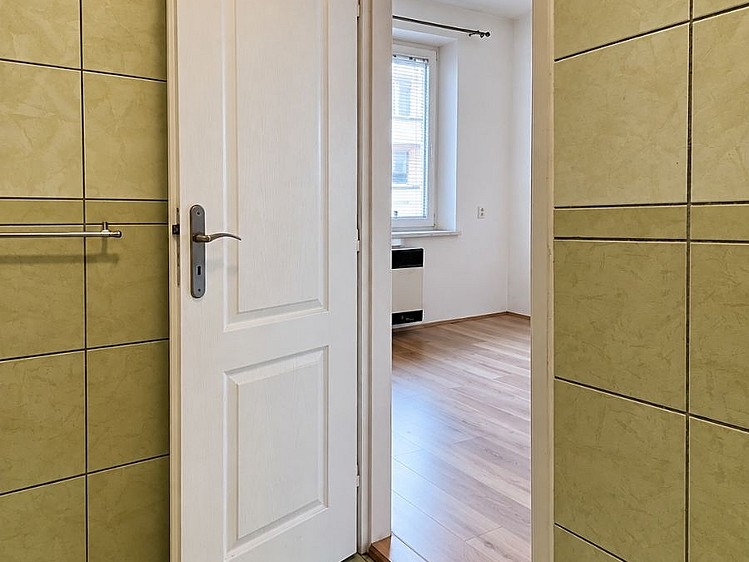 Pronájem bytu 1+1, 45 m² (13 z 24)