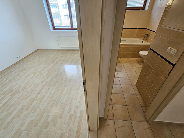 Pronájem bytu 2+kk, 65 m² (20 z 30)