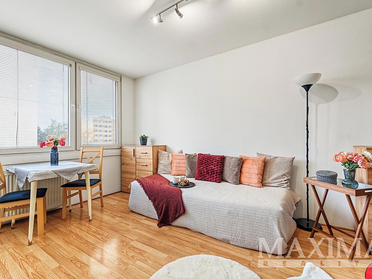 Wohnung 1+kk zum Kauf, 29 m² (1 von 19)