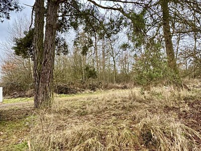 Grundstück zum Kauf, 867 m² (3 von 10)