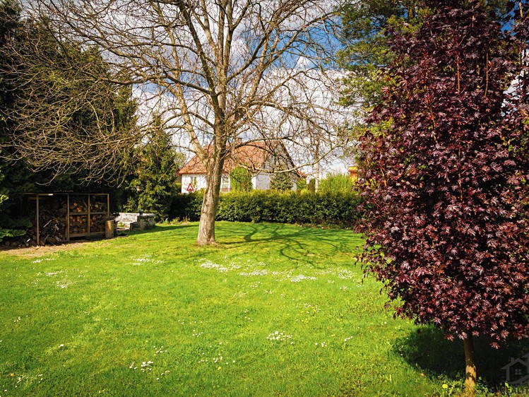 Grundstück zum Kauf, 908 m² (13 von 30)