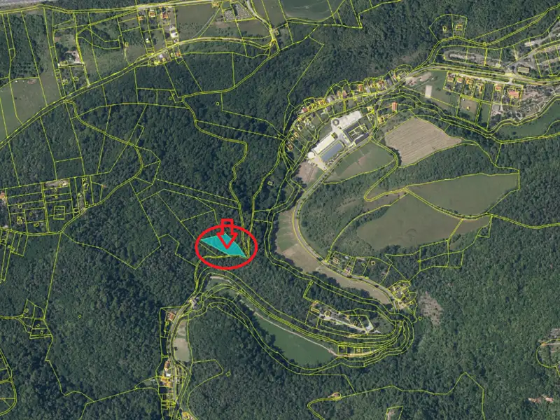 Prodej lesa 3269 m², Svatý Jan pod Skalou – náhled fotky 2