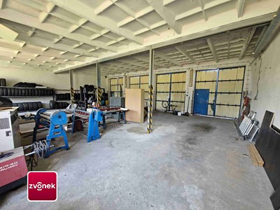 Gewerbefläche zur Miete, 250 m² (3 von 13)