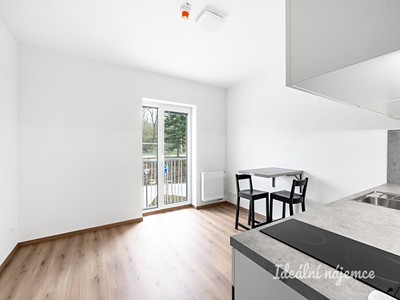 Pronájem bytu 1+kk, 22 m² (2 z 12)