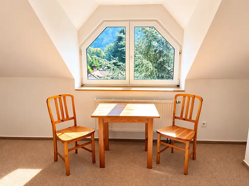 Pronájem bytu 1+kk 26 m², Černošice – náhled fotky 3