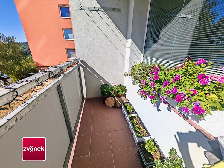 Prodej bytu 3+1, 68 m² (2 z 22)