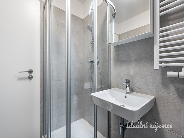 Pronájem bytu 1+kk, 22 m² (8 z 12)