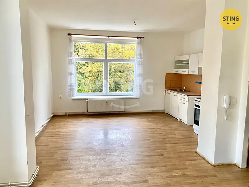 Pronájem bytu 1+kk 39 m², Bruntál – náhled fotky 3
