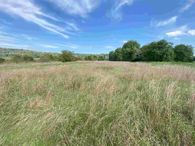 Dražba louky 782 m², Všenory – náhled fotky 2