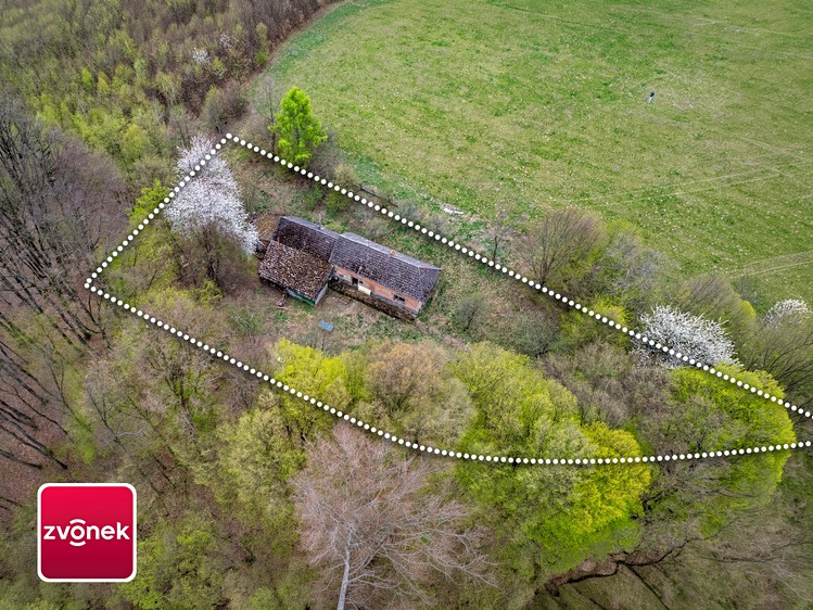 Haus zum Kauf, 210 m² (3 von 23)
