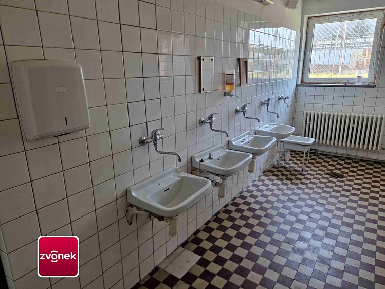 Gewerbefläche zur Miete, 250 m² (10 von 13)