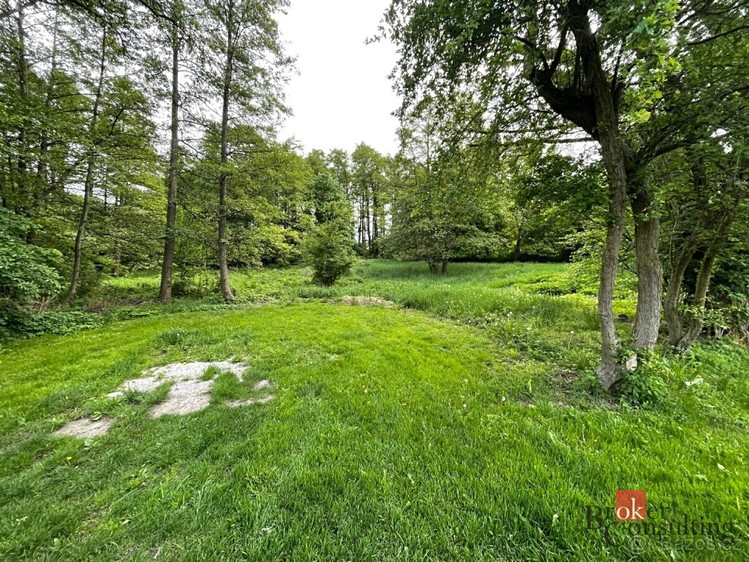 Grundstück zum Kauf, 24.584 m² (3 von 7)