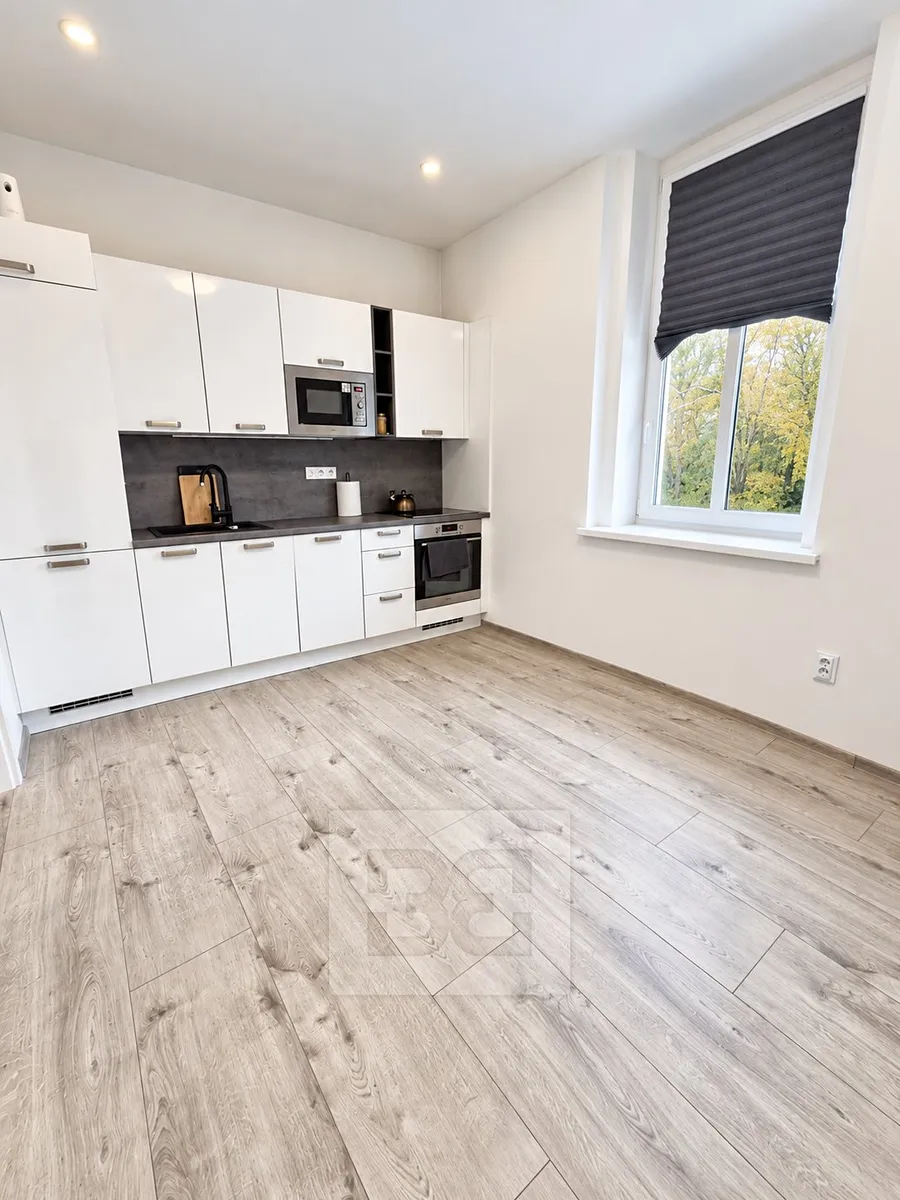 Pronájem bytu 1+1 45 m²