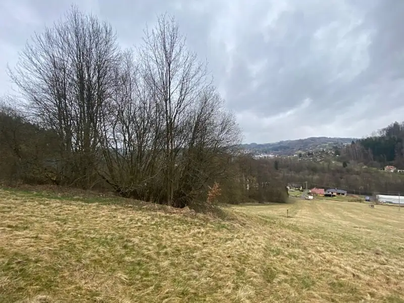 Dražba louky 7826 m², Semily – náhled fotky 3