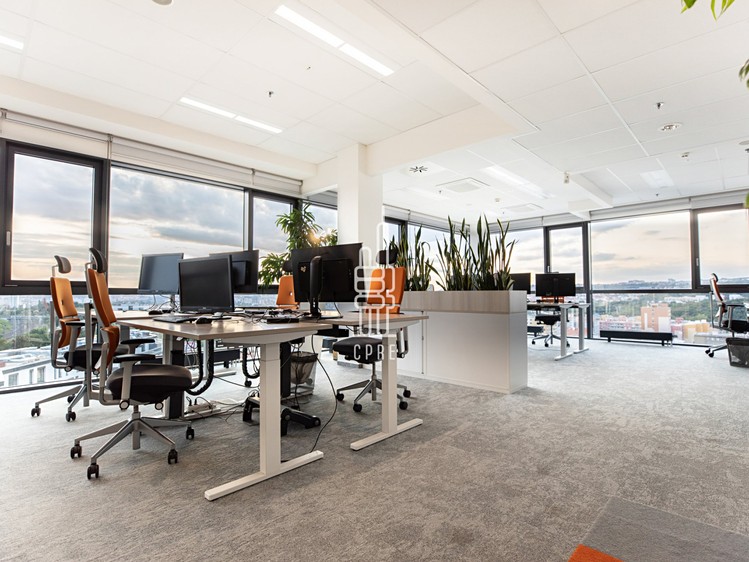 Pronájem komerčního prostoru, 1 124 m² (6 z 10)