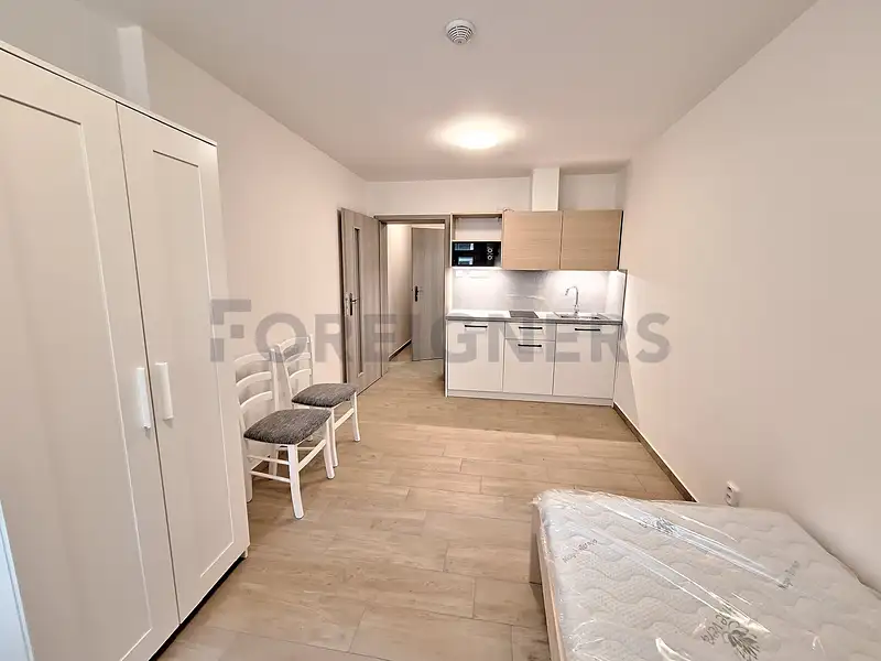 Pronájem bytu 1+kk 25 m², Olomouc – náhled fotky 1