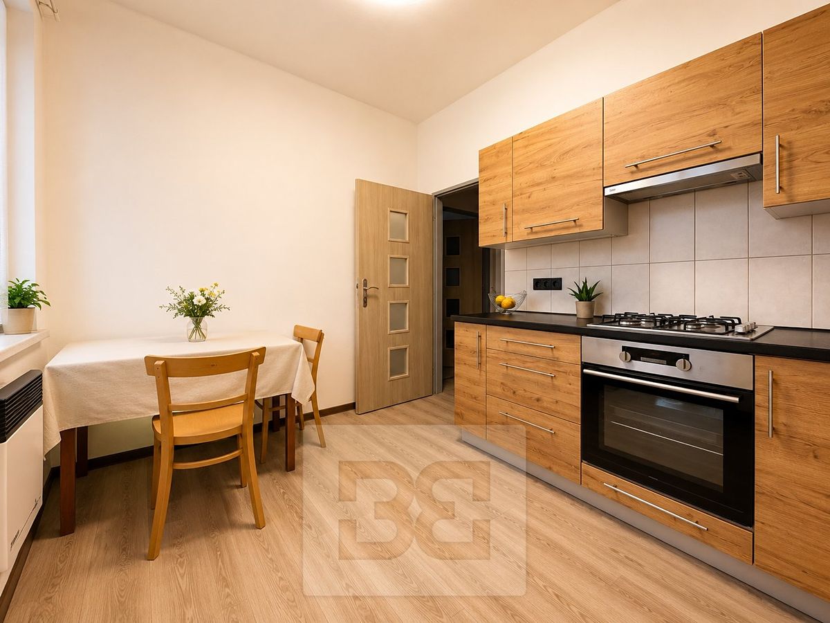 Pronájem bytu 1+1 38 m²