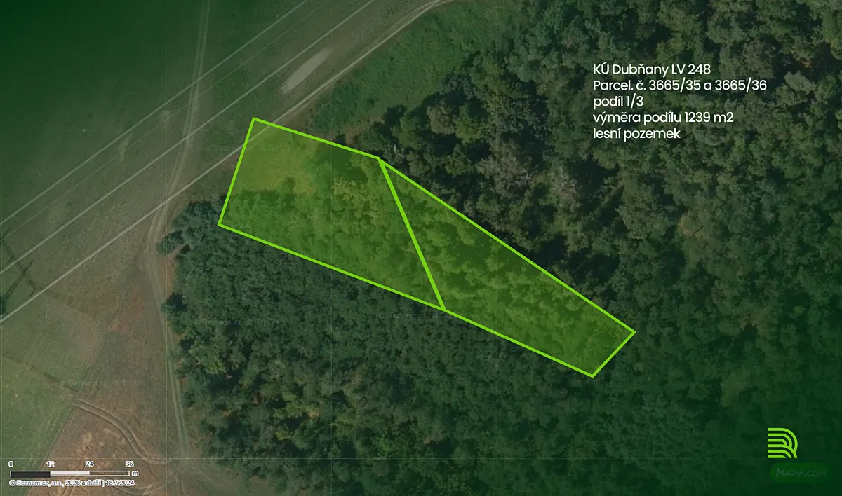 Prodej podílu 1/3 lesa 1239 m²