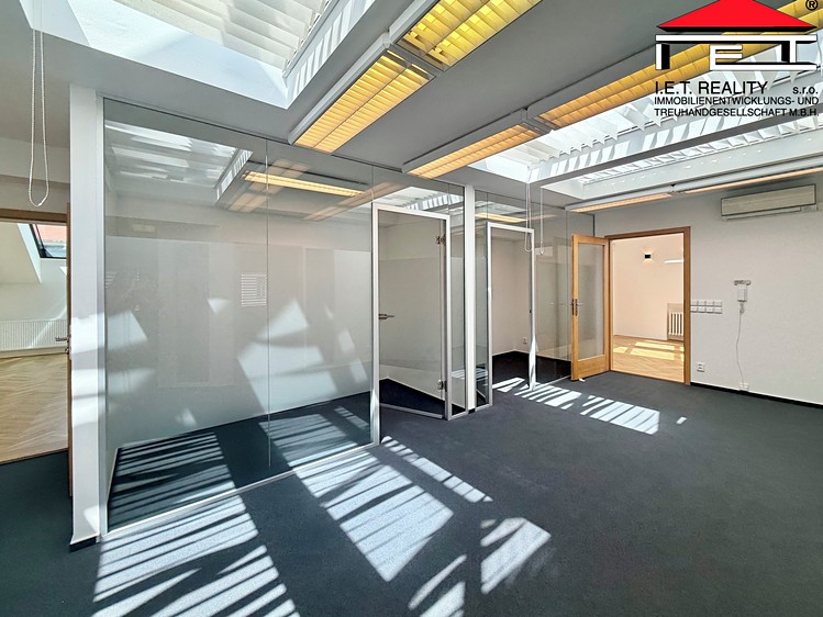 Pronájem komerčního prostoru, 196 m² (6 z 29)