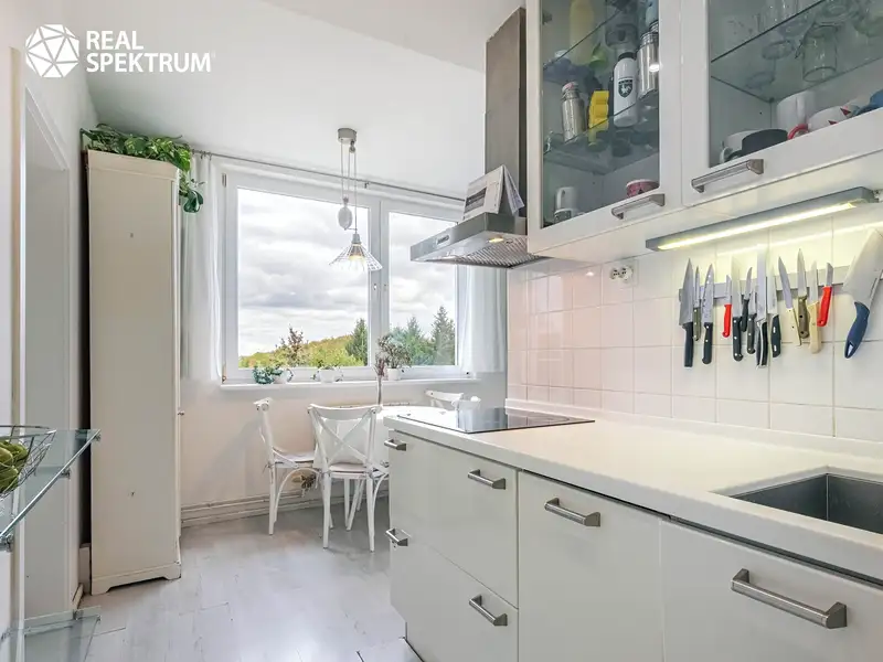 Prodej bytu 3+1 72 m², Brno – náhled fotky 3