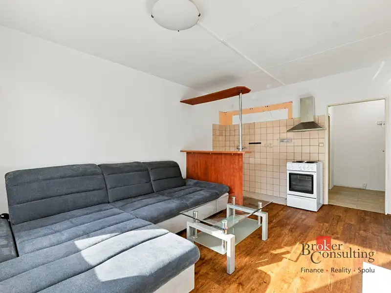 Prodej bytu 1+1 48 m², Plzeň – náhled fotky 1