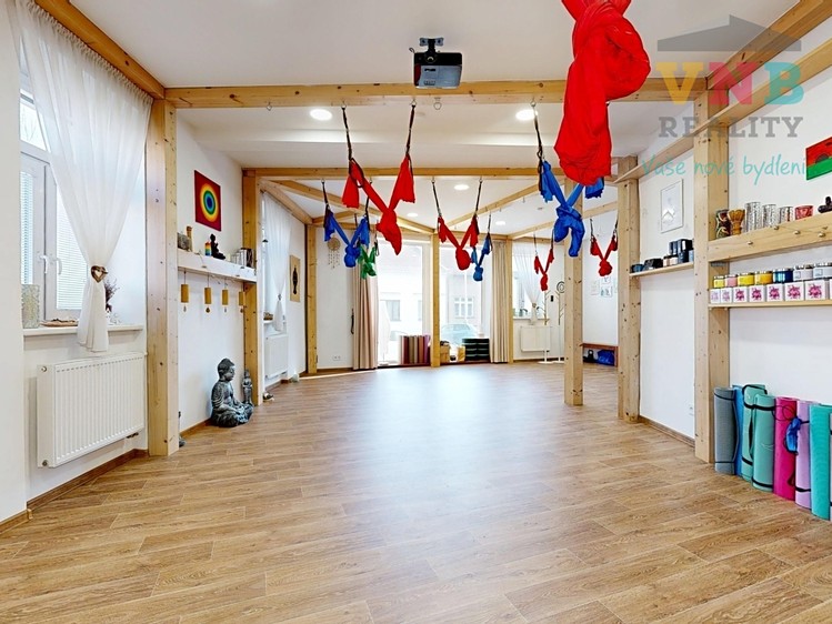 Gewerbefläche zum Kauf, 205 m² (5 von 43)
