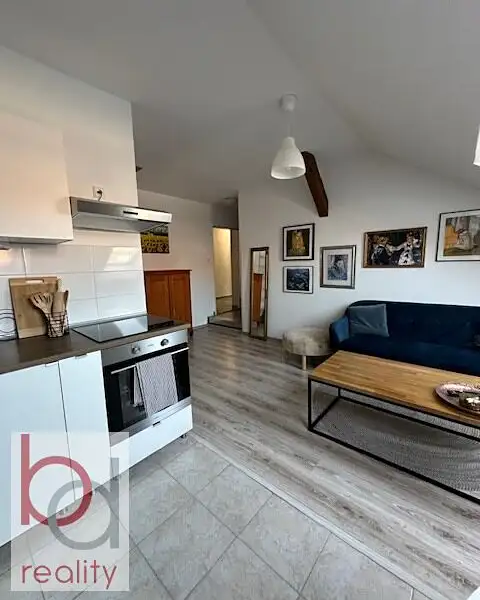Pronájem bytu 1+kk 35 m², České Budějovice – náhled fotky 3