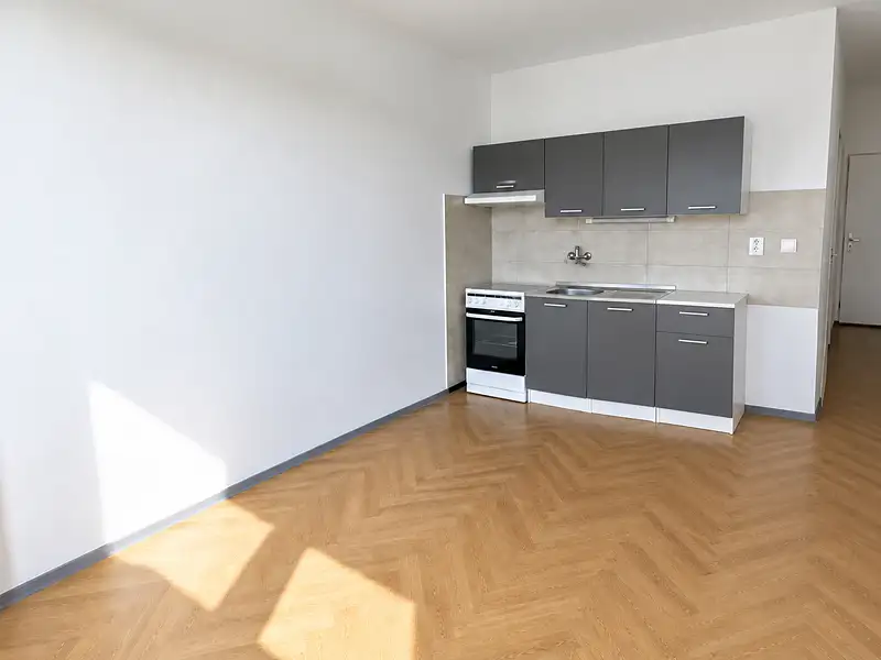 Prodej bytu 1+1 35 m², Chomutov – náhled fotky 1