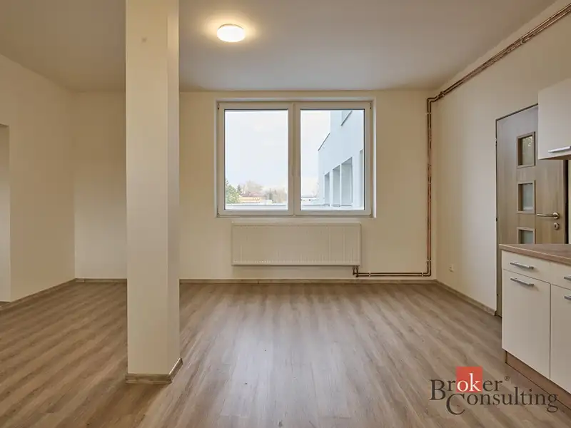 Pronájem bytu 1+kk 43 m², Mlékojedy – náhled fotky 2