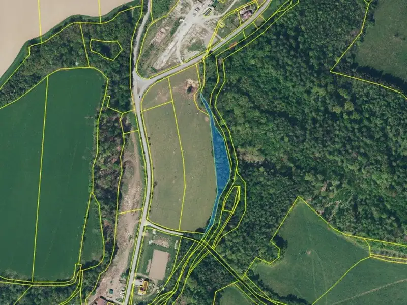 Prodej lesa 3247 m², Skorošice – náhled fotky 3