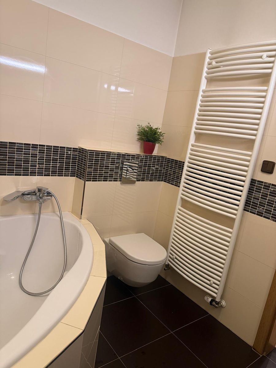 Pronájem bytu 1+kk 40 m² – fotografie 4
