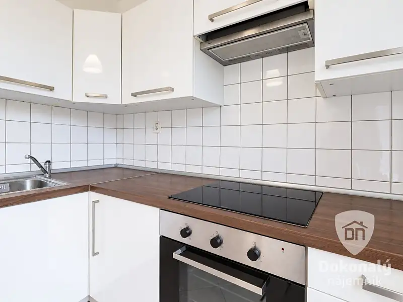 Pronájem bytu 2+1 50 m², Praha – náhled fotky 2