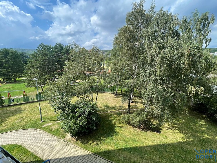 Pronájem bytu 3+1, 69 m² (19 z 20)