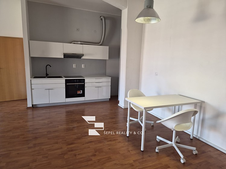 The 2+kk flat for rent, 107 m² (6 of 20)