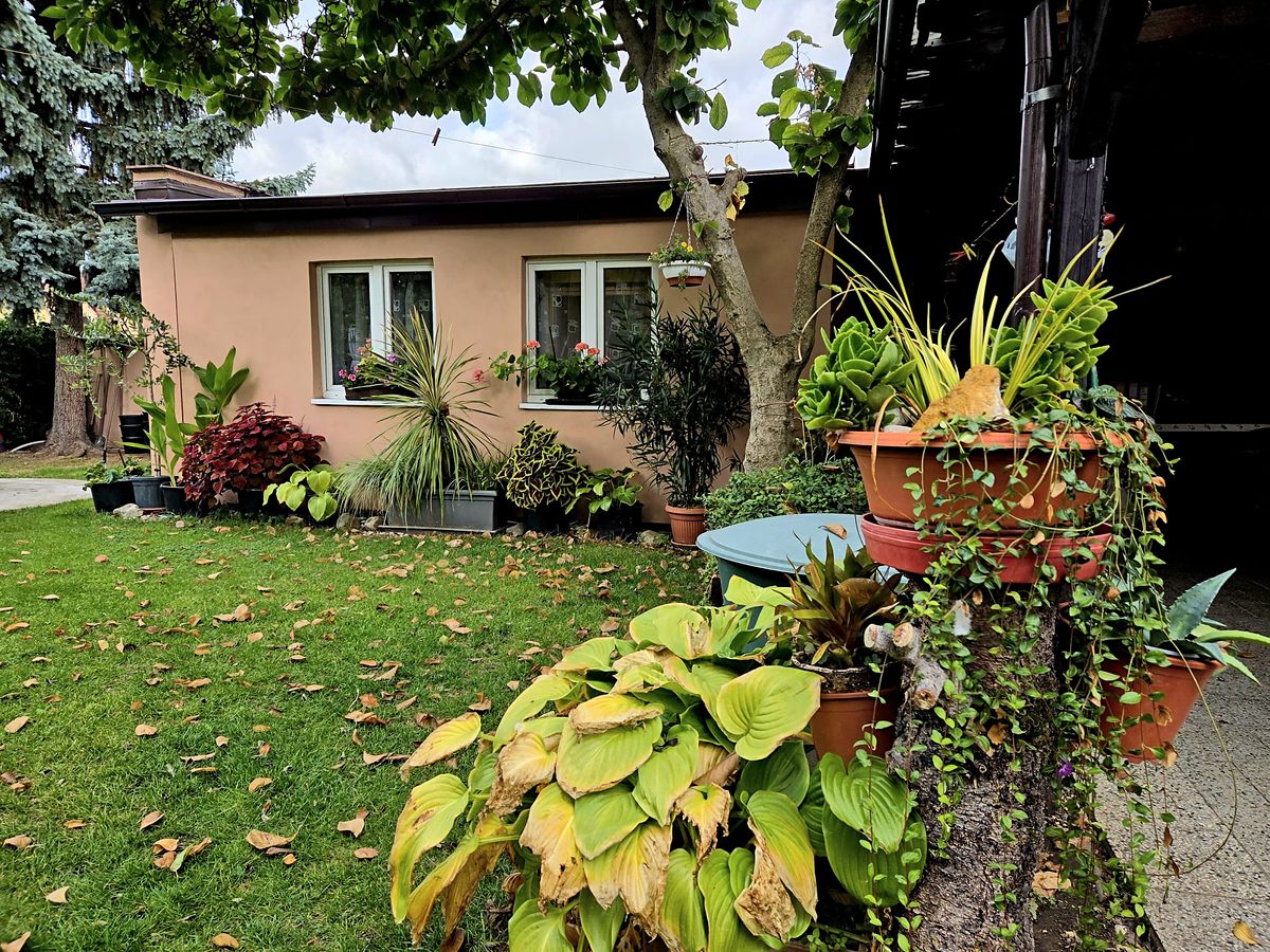 Pronájem bytu 1+kk 45 m², Praha – fotka 1 z 3
