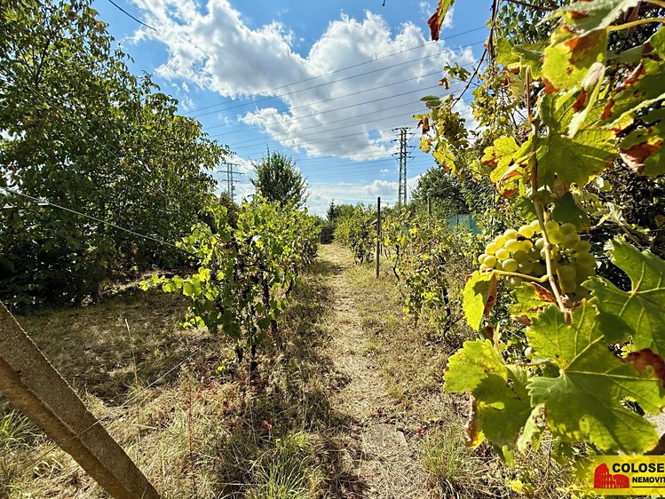 Ostatní