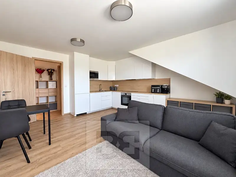Prodej bytu 2+kk 66 m², Brno – náhled fotky 2