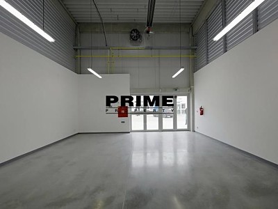 Gewerbefläche zur Miete, 205 m² (3 von 11)