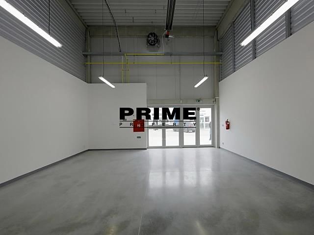 Gewerbefläche zur Miete, 205 m² (3 von 11)
