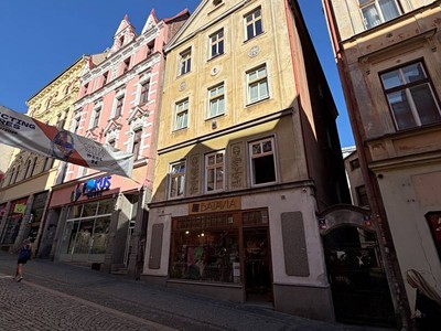 Gewerbefläche zum Kauf, 260 m² (2 von 3)