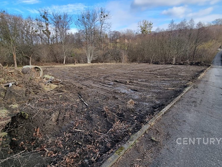 Grundstück zum Kauf, 3.800 m² (4 von 11)