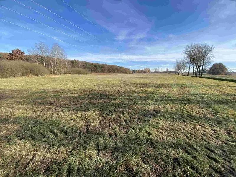 Dražba louky 2663 m², Vodňany – náhled fotky 2