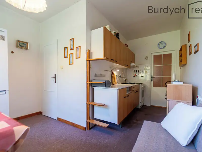 Prodej bytu 2+1 53 m², Brno – náhled fotky 1