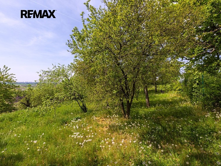 Grundstück zum Kauf, 953 m² (3 von 11)