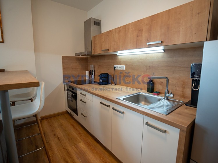 Wohnung 1+kk zum Kauf, 45 m² (4 von 19)