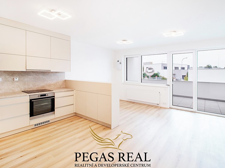 Wohnung 1+kk zur Miete, 43 m² (1 von 13)