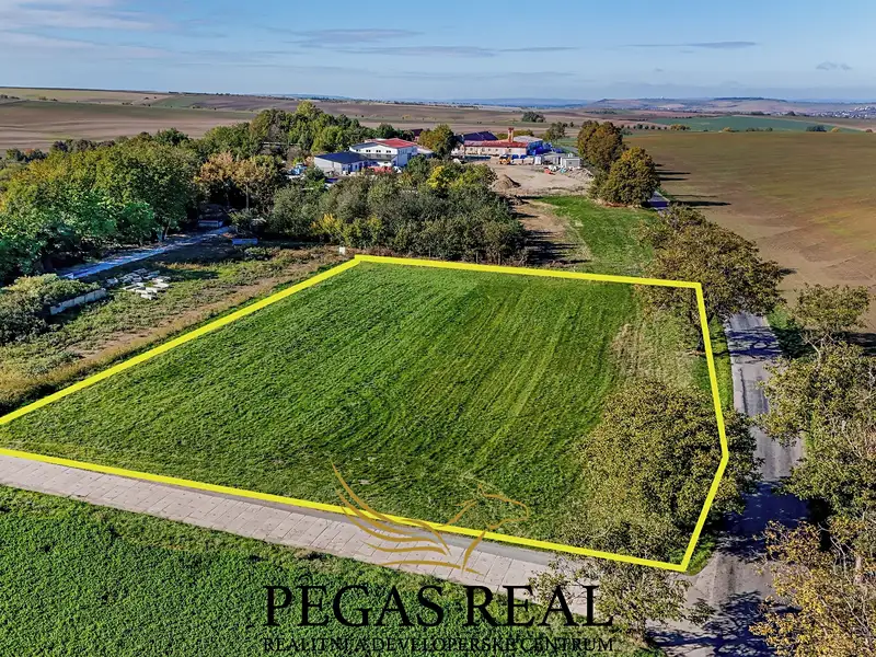 Prodej komerčního pozemku 4445 m², Heršpice – náhled fotky 1