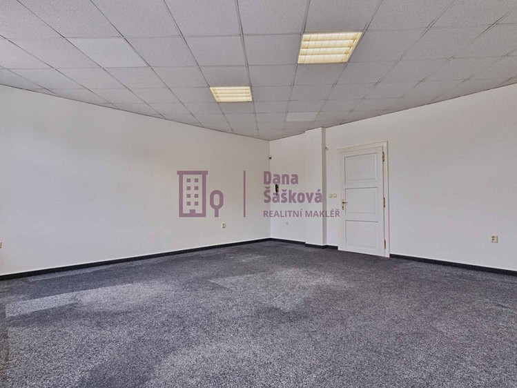 Pronájem komerčního prostoru, 36 m² (19 z 24)