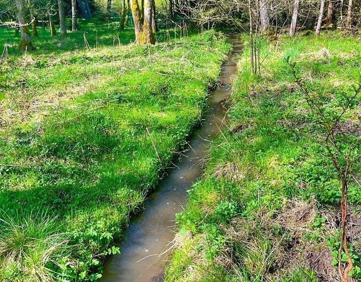 Prodej pozemku, 16 545 m² (15 z 26)